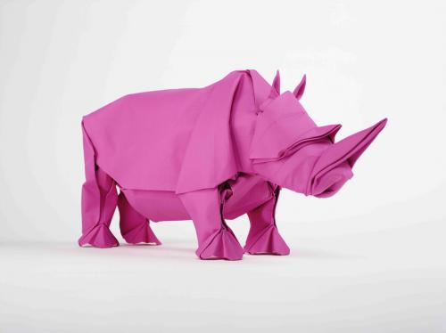 rhino_magenta