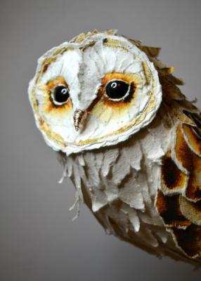 barn-owl-suzanne-breakwell